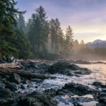 A panoramic sunrise view of a misty Pacific Northwest coastline with evergreen forests and distant snow-capped mountains.