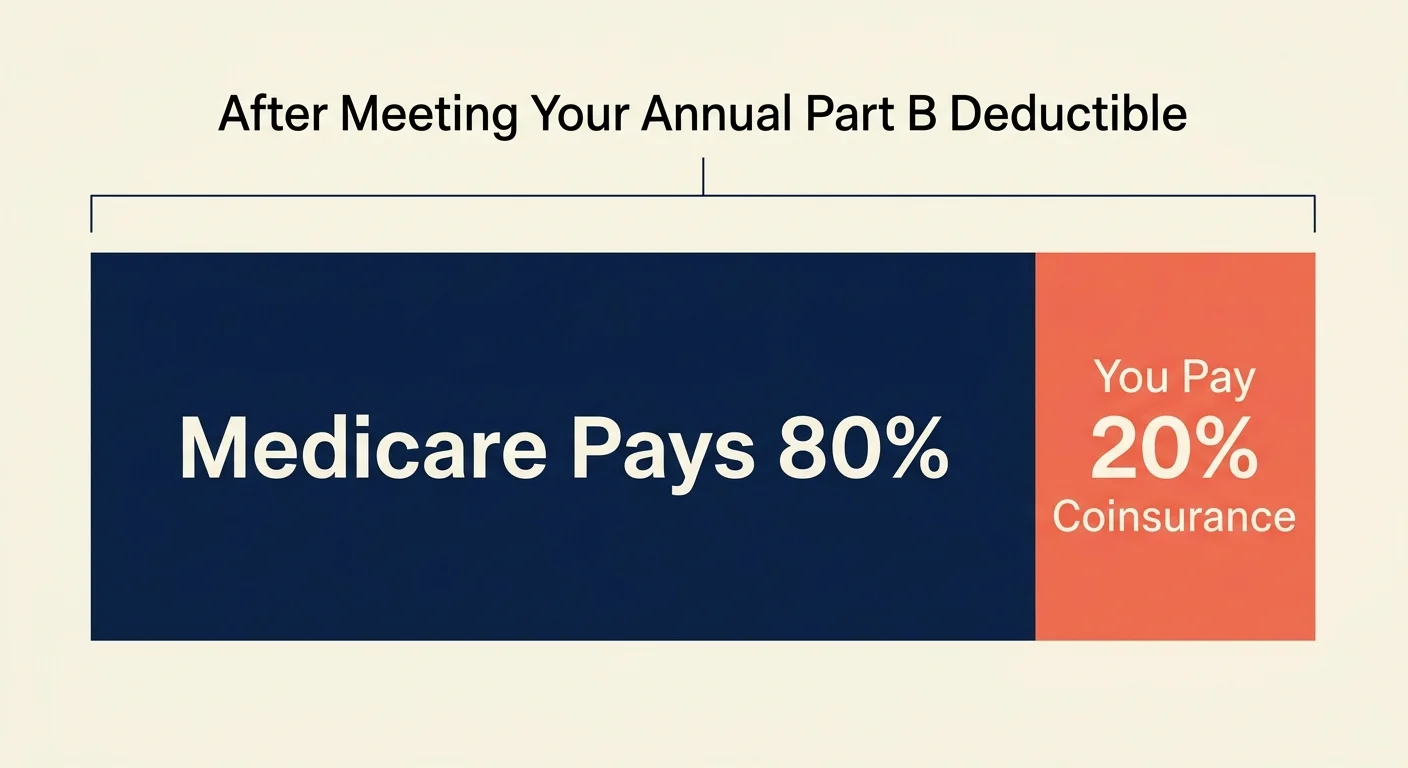 A minimalist horizontal block diagram showing Medicare's 80% payment share alongside the patient's 20% coinsurance share.