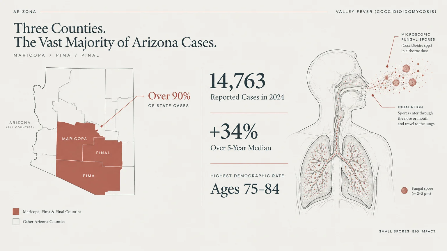 Diagram with an Arizona county map, Valley fever statistics, and an anatomical drawing of spores entering human lungs.
